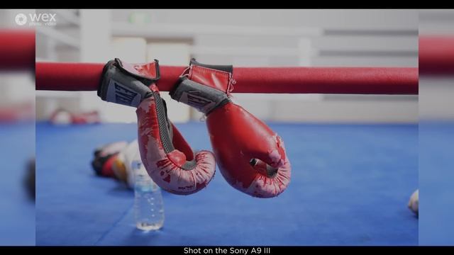 Review | Sony A9 III