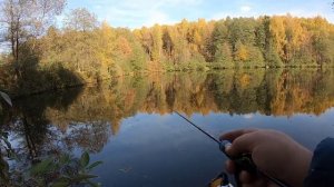 Лесной пруд. Наноджиг.