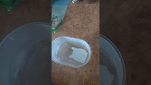 Как отбелить силиконовый чехол!!!!???Способ №2!!!! Лимонная кислота и уксус!!!Способ не работает!!!