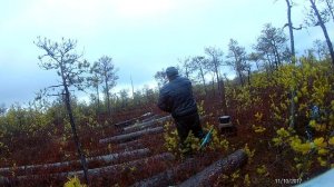 Строим избушку на болоте.