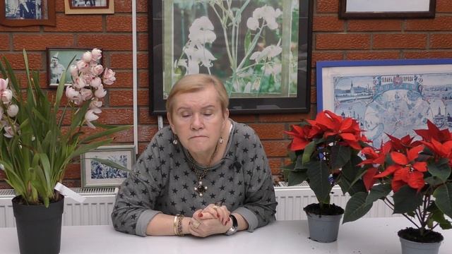 Отвечаем на вопросы наших зрителей №2 смотреть онлайн