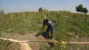 Amazing starting 12 hp diesel engine Waterpump machine ll big diesel Waterpump engine pumping machi