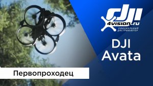 DJI Avata — Первопроходец.mp4