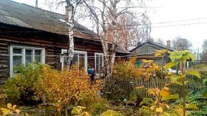 Хотите на участке спилить дерево? Уж очень оно мешает.Не получится .Нужно разрешение администрации