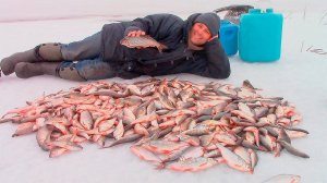 НОООРМАЛЬНО ПОРЫБАЧИЛИ!!!) Братское водохранилище, закрытие ледового сезона! Подводная съёмка!