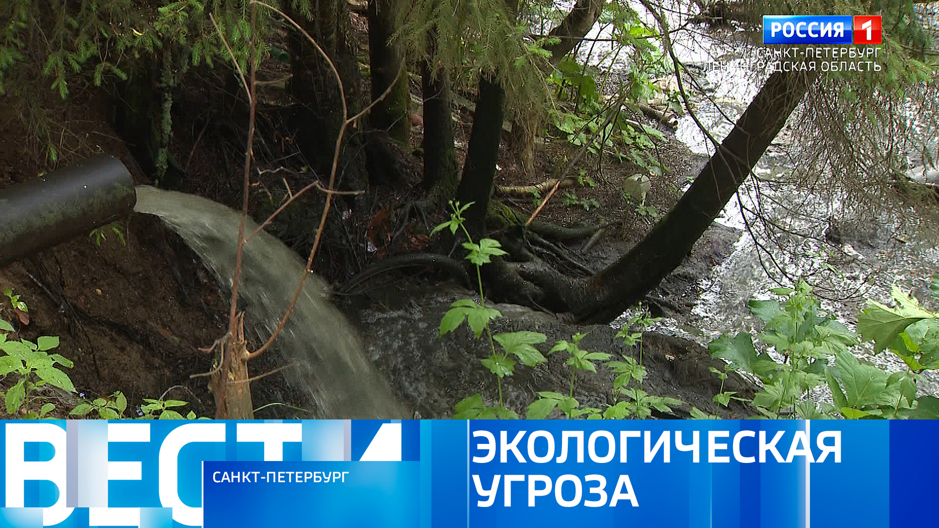 Вести Санкт-Петербург. Выпуск 09:00 от 17.06.2024