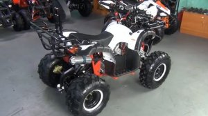 Квадроциклы Avantis Hunter и Mirage 50(125) куб.см. 2017 модельного года