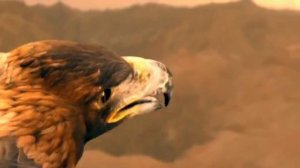 Я казах.  Нурлан Есембаев новый клип