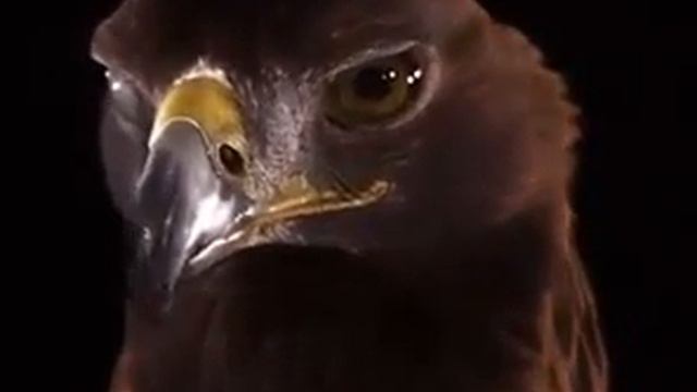 Как выглядит жена, когда муж поздно пришёл домой смотреть онлайн