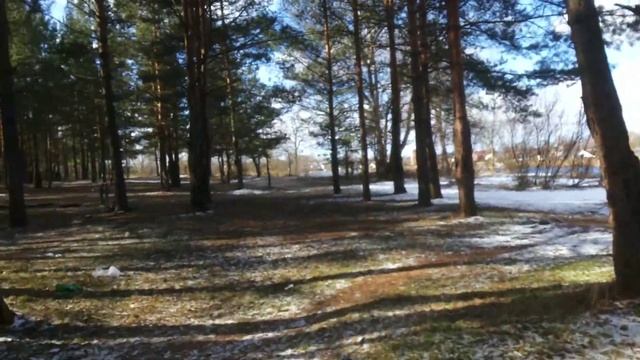 Городское Озеро экскурсия гусь-хрустальный