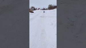 Электроснегокат 48v 350x2