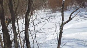 Катание с детьми на снегоходе с санями.mp4