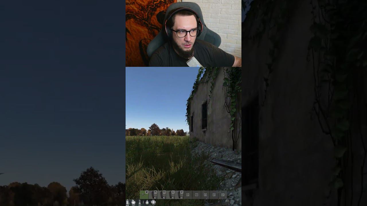 DayZ штурм дома #shorst #dayz #дейз #дейз #стрим #вфня #dayzpvp #дейзи #дейзпвп #twitch