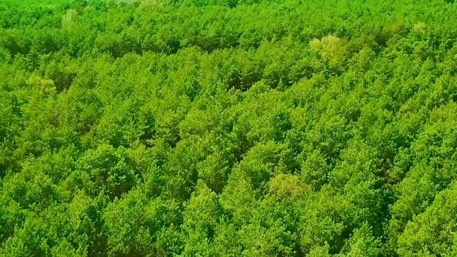 Все ваши заботы исчезнут, если вы послушаете эту музыку? Расслабляющая музыка успокаивает нервы смотреть онлайн