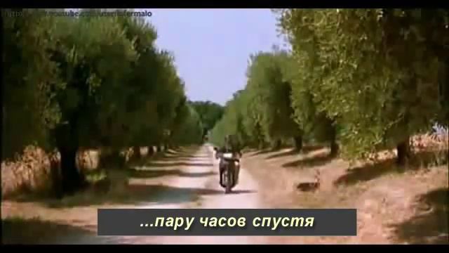 Осел и время