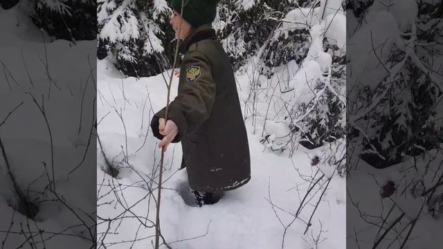 когда хочется красивых фотографий и в такие сугробы залезешь?