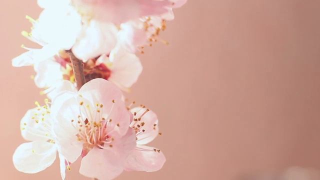 Как обрести внутреннюю силу и стать сильным духом? Медитация перед сном на внутреннюю силу смотреть онлайн