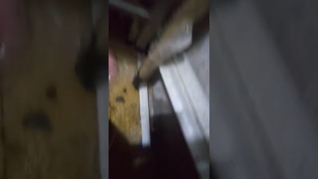 Течь внутри балкона. УК не знает, как решить этот вопрос, кроме, как демонтировать балкон.... смотреть онлайн