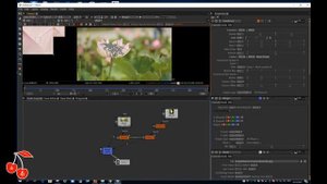 Трекинг объектов в программе Natron