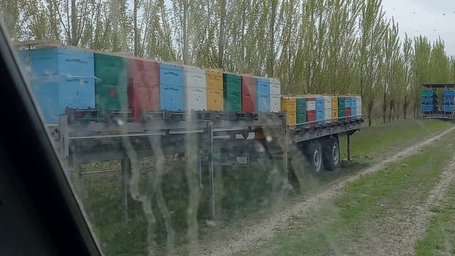 Опыляем сады 2023. смотреть онлайн