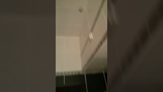 ФСК лидер Авангард смотреть онлайн