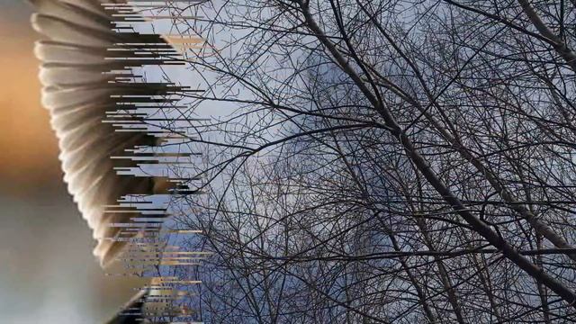 12 апреля народный праздник День Иоанна Лествичника. Народные приметы и традиции. Запреты дня.