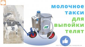 Молочное такси Обзор, функционал, работа оборудования для выпойки молодняка КРС
