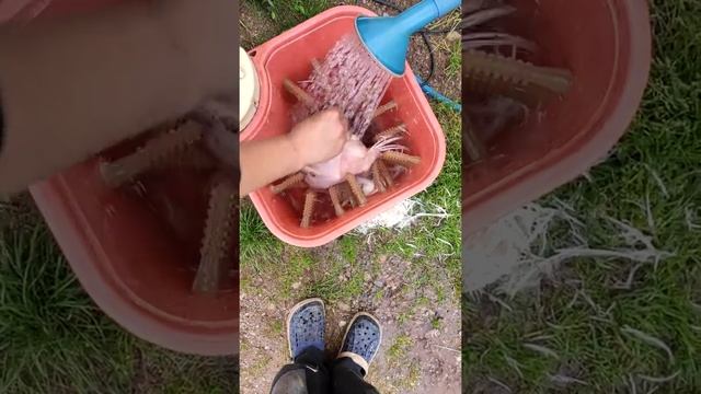 Перосъемная машина из фея-2 12. 12. 12. 12  июля 2020 г. смотреть онлайн