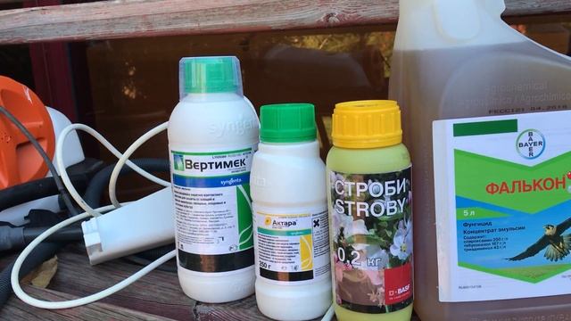 УДОБРЕНИЯ ДЛЯ РОЗ.Удобрение для роз 2018 год.