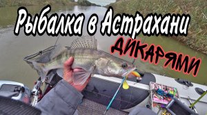 Ловим судака  Рыбалка в Астрахани дикарями на раскатах