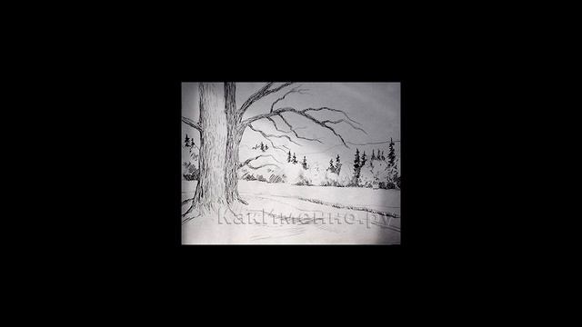 Как нарисовать природу карандашом? смотреть онлайн