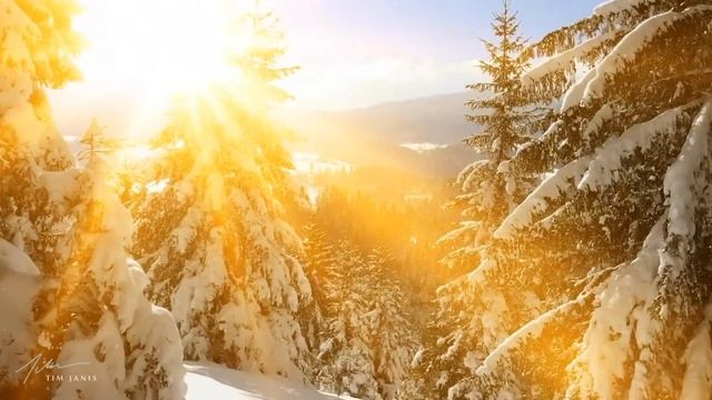 Beautiful Relaxing Hymns Peaceful  Instrumental Music Songbird Morning Sunrise By Tim Janis