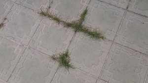 Моя ПОЛИМЕРПЕСЧАНАЯ ПЛИТКА 4.5 года спустя. Выводы делайте сами.