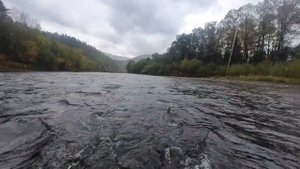 Суточный обзор рыбалки на р Анюй (осень 2023