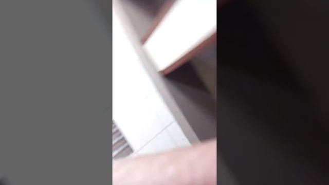 Пасадобль