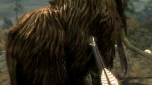 Самое мощное оружие в игре скайрим