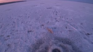 Первый лёд на Большой Реке! Ловля Судака и Берша. Два дня рыбалки на Волге. Зимняя рыбалка 2022-202