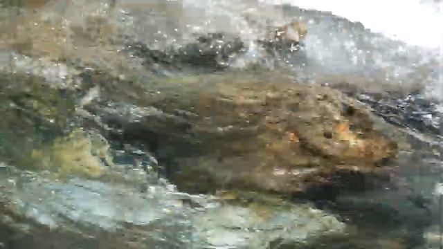 Река в лесу и пение птиц в 4K смотреть онлайн