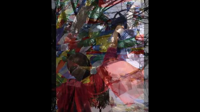 chrysanne stathacos natural wishing .mov смотреть онлайн