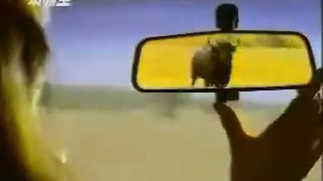Daewoo Cielo (Nexia) 1995 commercial (korea) смотреть онлайн