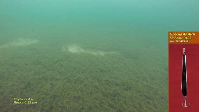 Блесна зимняя AKARA Ice 3403. Тест блесны от братьев Щербаковых. смотреть онлайн
