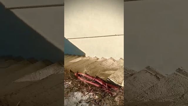 Лестничный марш/ГСК/#екатеринбург #строительство #лестница смотреть онлайн