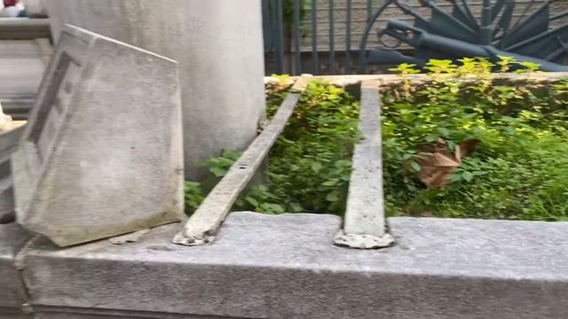 VLOG: Центральные мечети Стамбула смотреть онлайн