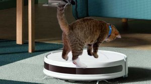 Робот пылесос XIAOMI Vacuum-Mop Essential G1 обзор и отзыв