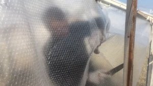 Натяжные потолки в теплице