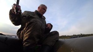 Вуокса. Колокольцево. Окунь.