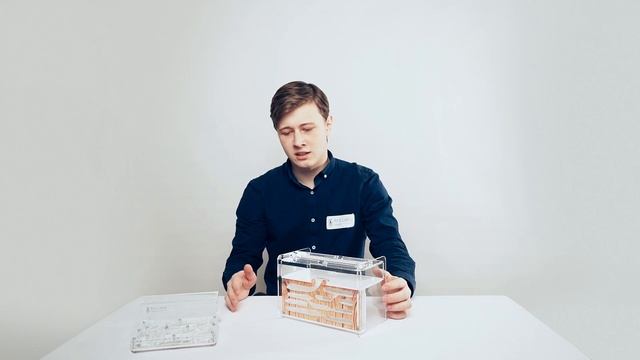 Обзор муравьиных ферм Ant Labs. Какую выбрать?