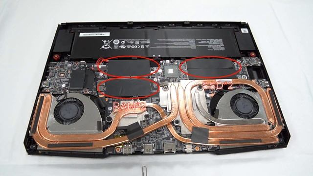 MSI GE76 Raider/GP76 Leopard SSD & RAM Upgrade Tutorial смотреть онлайн