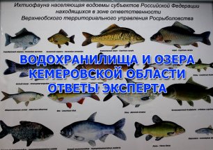 Водохранилища и озера Кемеровской области. (рыбалка и рыбы)