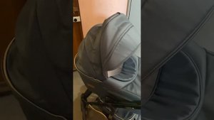 Детская коляска Ray Ultra Gold 2 в 1